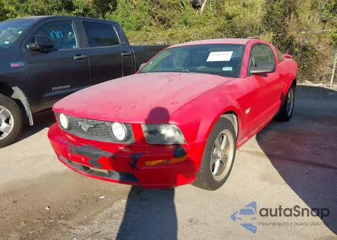 2005 Ford Mustang Gt Deluxe/Gt Premium из США, поврежденный, VIN 1ZVFT82H655132612